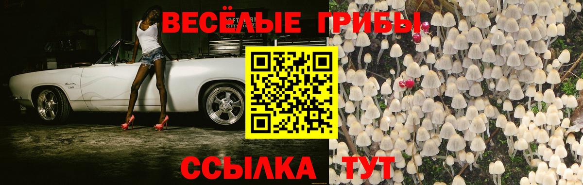 Галлюциногенные грибы GOLDEN TEACHER Шелехов